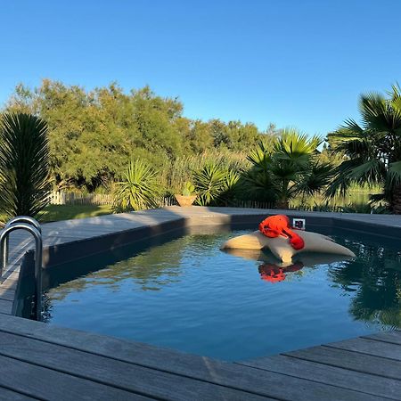 Cabane Le Flamant Avec Jardin, Piscine Et Parking سانت ماري دو لا مير المظهر الخارجي الصورة