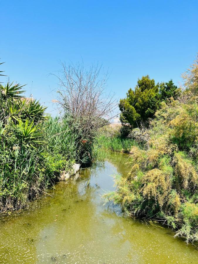 Cabane Le Flamant Avec Jardin, Piscine Et Parking سانت ماري دو لا مير المظهر الخارجي الصورة