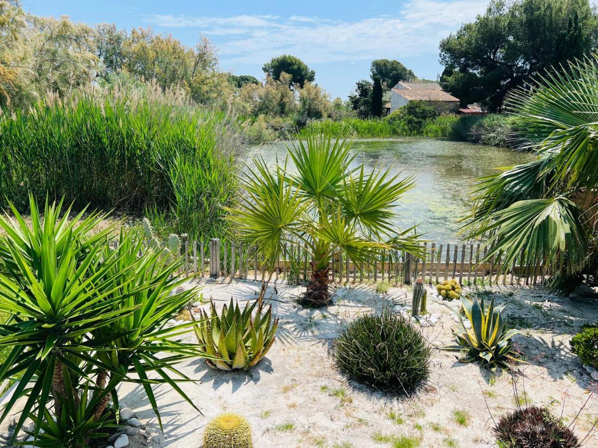 Cabane Le Flamant Avec Jardin, Piscine Et Parking سانت ماري دو لا مير المظهر الخارجي الصورة