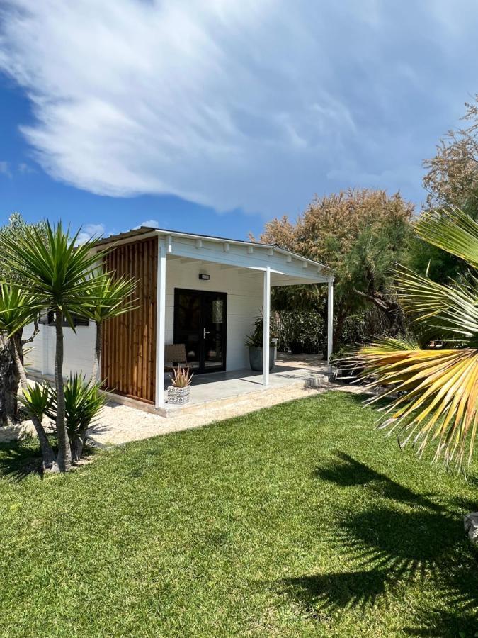 Cabane Le Flamant Avec Jardin, Piscine Et Parking سانت ماري دو لا مير المظهر الخارجي الصورة