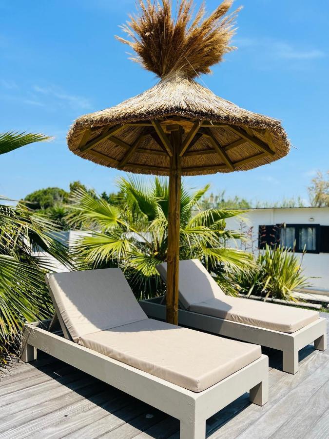 Cabane Le Flamant Avec Jardin, Piscine Et Parking سانت ماري دو لا مير المظهر الخارجي الصورة