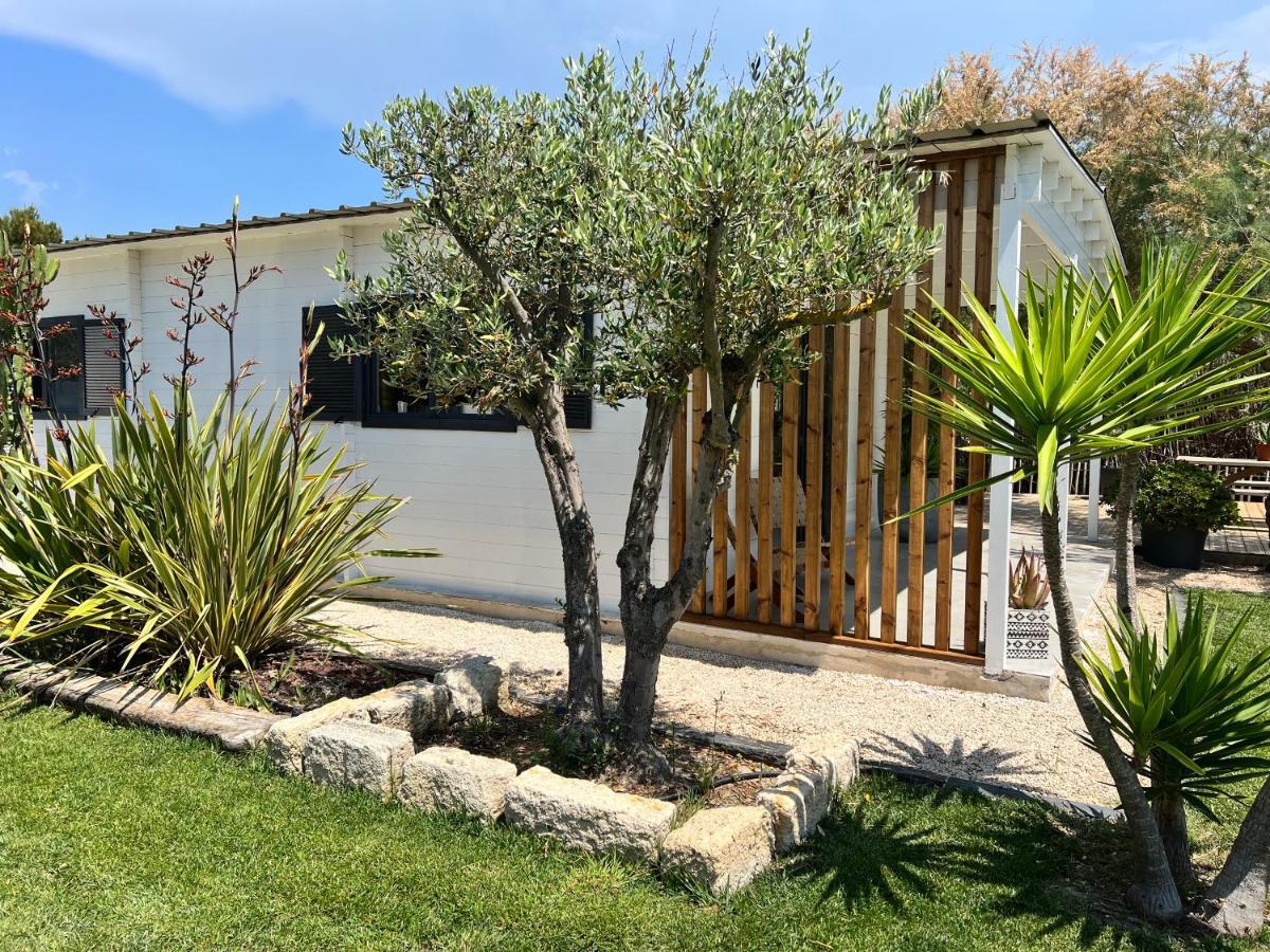 Cabane Le Flamant Avec Jardin, Piscine Et Parking سانت ماري دو لا مير المظهر الخارجي الصورة